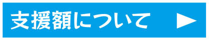 支援額について